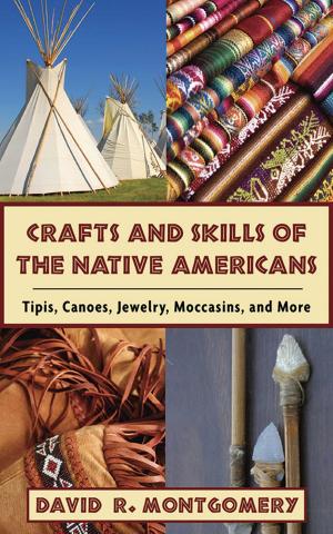 Cover of the book Crafts and Skills of the Native Americans by Barry Davies
