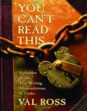 Cover of the book You Can't Read This by Esme Shapiro