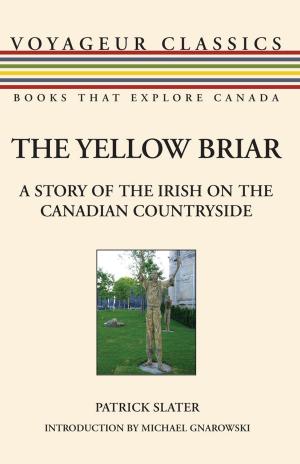 Cover of the book The Yellow Briar by Lucy Lemay Cellucci