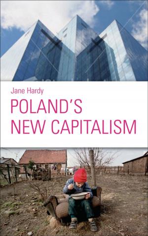 bigCover of the book Poland's New Capitalism by 