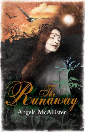Cover of the book The Runaway by Tony Bradman