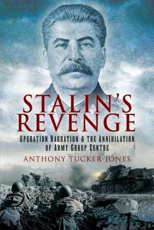 Cover of the book Stalin's Revenge by Derek Tait
