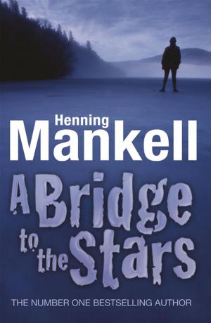 Book cover of A Bridge to the Stars