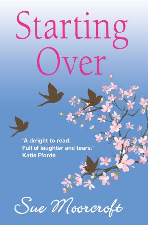Cover of the book Starting Over by Trish Morey