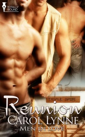 Cover of the book Reunion by C.S. Chatterly