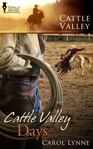 Book cover of Cattle Valley Days