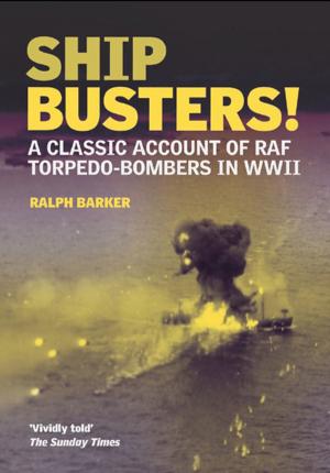 Book cover of Ship-Busters!