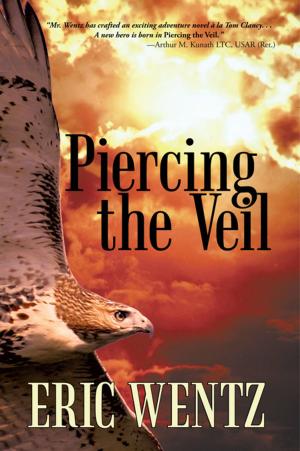 Cover of the book Piercing the Veil by Rosemary Pavey-Snell