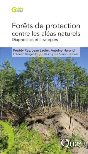 Cover of the book Forêts de protection contre les aléas naturels by Catherine Courtet, Martine Berlan-Darqué, Yves Demarne
