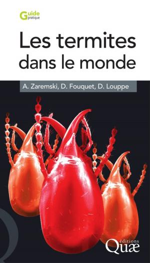 Cover of the book Les termites dans le monde by Bernard Aubert, G. Vullin