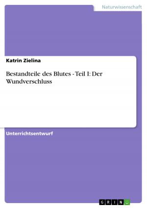 Cover of the book Bestandteile des Blutes - Teil I: Der Wundverschluss by Tobias Plog