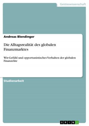 Cover of the book Die Alltagsrealität des globalen Finanzmarktes by Timm Witt