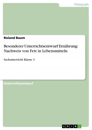 Cover of the book Besonderer Unterrichtsentwurf Ernährung: Nachweis von Fett in Lebensmitteln by Florian Gleisle