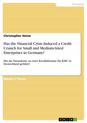 Cover of the book Has the Financial Crisis Induced a Credit Crunch for Small and Medium-Sized Enterprises in Germany? by Marco Froehlich