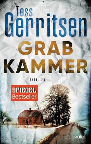 Cover of the book Grabkammer by Camille Noe Pagan