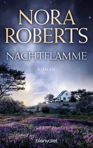Cover of the book Nachtflamme by Terry Brooks