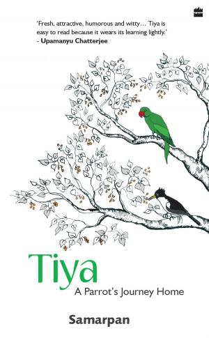 Cover of the book Tiya : A Parrot's Journey home by Katerina Mestheneou, Fiona MacKenzie