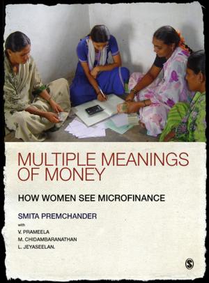 Cover of the book Multiple Meanings of Money by Stewart R Clegg, Mr. Jochen Schweitzer, Professor Andrea Whittle, Christos Pitelis