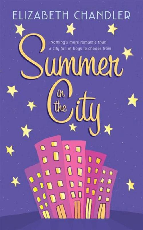 Cover of the book Summer in the City by Elizabeth Chandler, HarperTeen