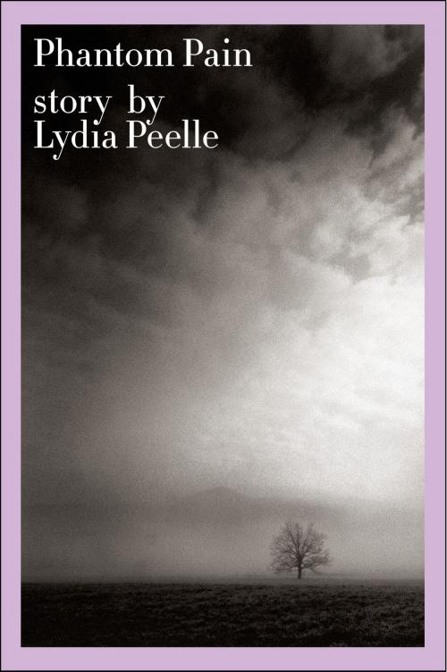 Cover of the book Phantom Pain by Lydia Peelle, HarperCollins e-books