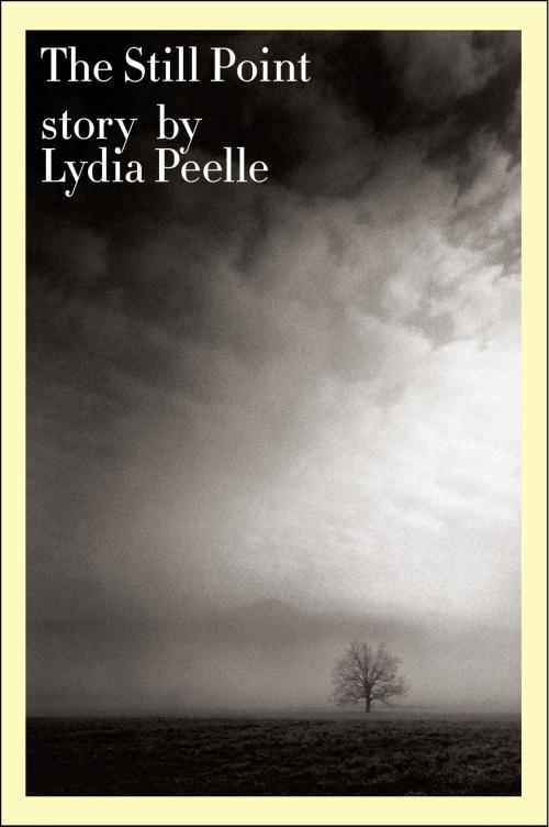 Cover of the book The Still Point by Lydia Peelle, HarperCollins e-books