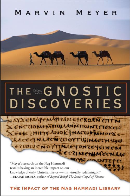 Cover of the book The Gnostic Discoveries by Marvin W. Meyer, HarperOne