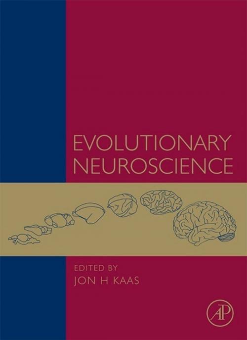 Cover of the book Evolutionary Neuroscience by , Elsevier Science