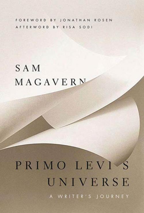 Cover of the book Primo Levi's Universe by Sam Magavern, Risa Sodi, St. Martin's Press