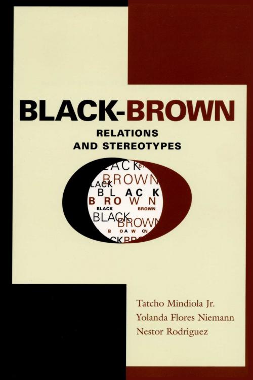 Cover of the book Black-Brown Relations and Stereotypes by Tatcho, Jr. Mindiola, Yolanda Flores Niemann, Nestor  Rodriguez, University of Texas Press