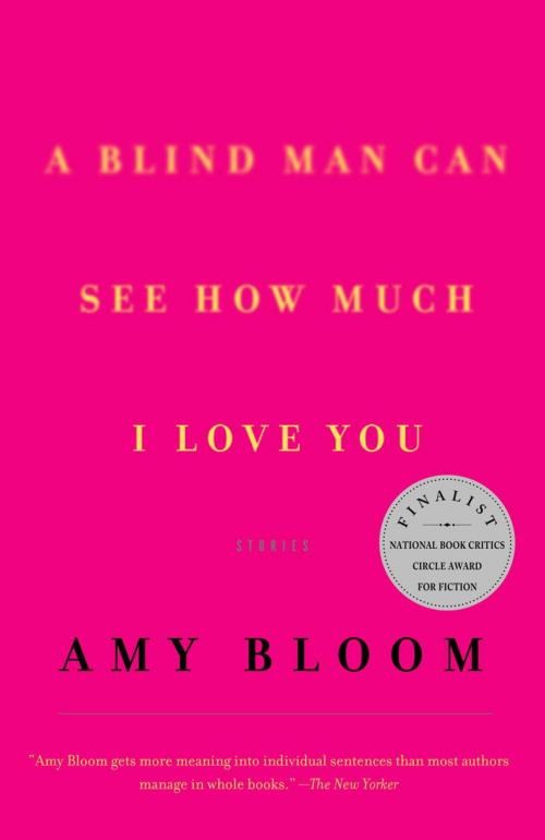 Cover of the book A Blind Man Can See How Much I Love You by Amy Bloom, Knopf Doubleday Publishing Group