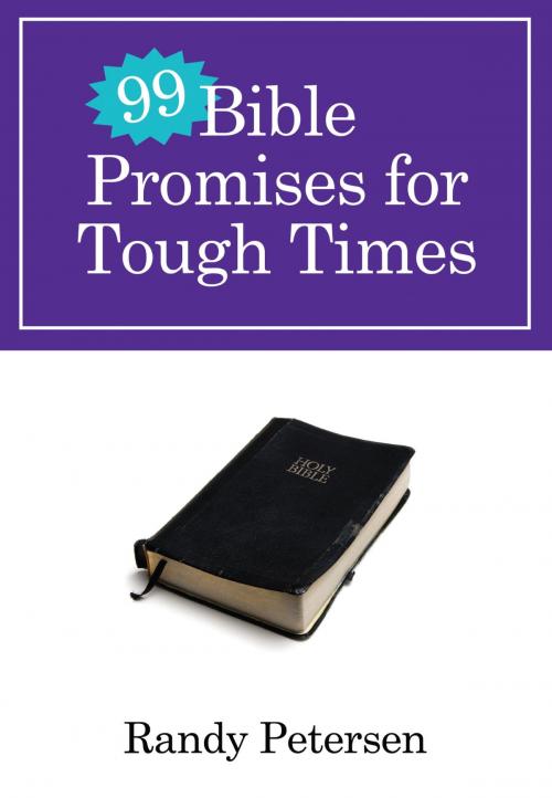 Cover of the book 99 Bible Promises for Tough Times by Randy Petersen, The Crown Publishing Group