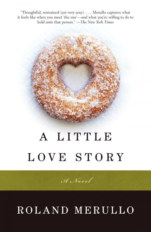 Cover of the book A Little Love Story by Roland Merullo, Knopf Doubleday Publishing Group