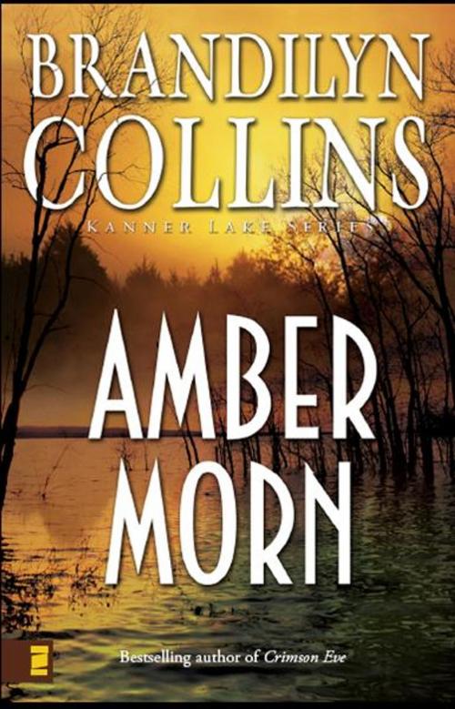 Cover of the book Amber Morn by Brandilyn Collins, Zondervan