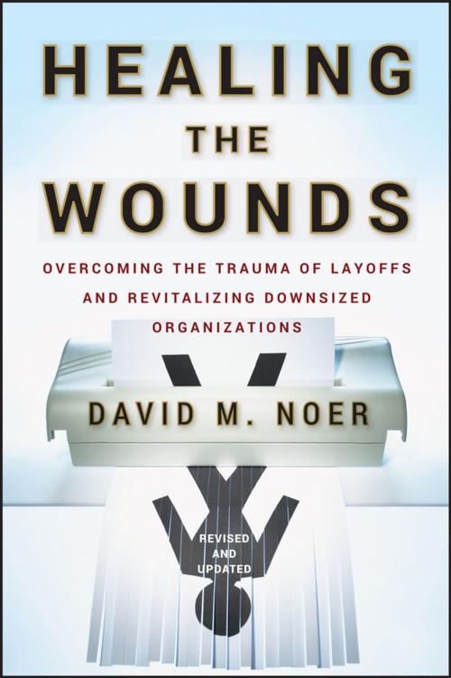 Cover of the book Healing the Wounds by David M. Noer, Wiley