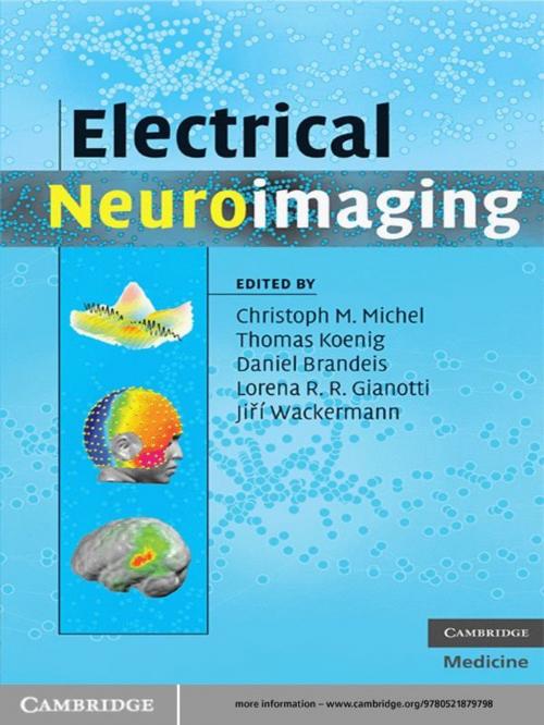 Cover of the book Electrical Neuroimaging by , Cambridge University Press