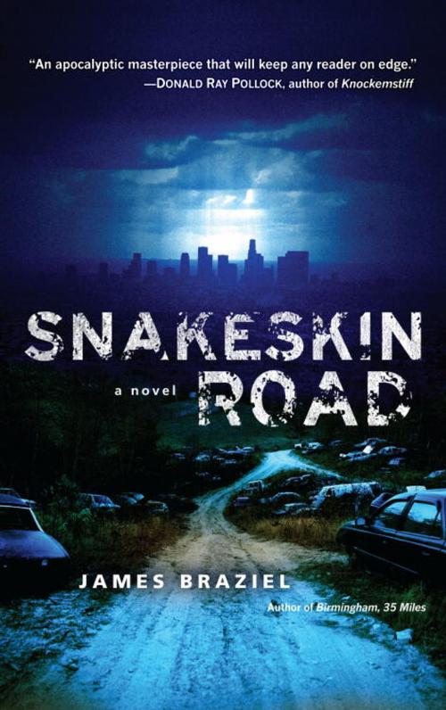 Cover of the book Snakeskin Road by James Braziel, Random House Publishing Group