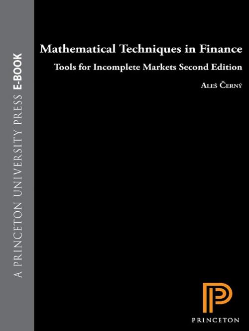 Cover of the book Mathematical Techniques in Finance by Ales Cerný, Princeton University Press