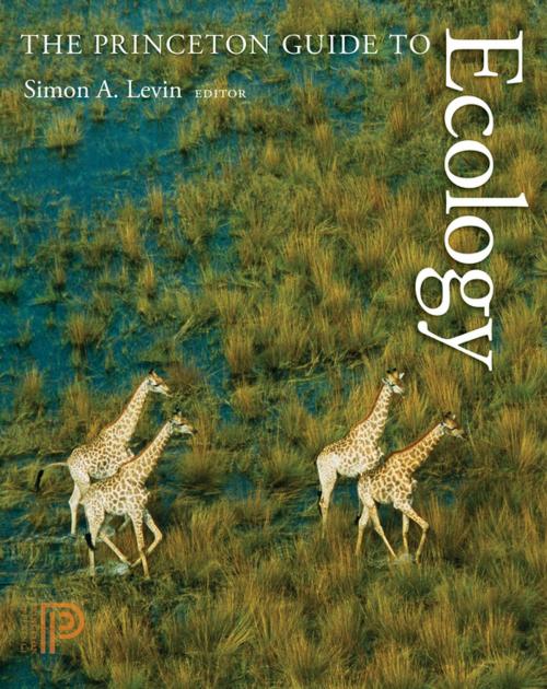 Cover of the book The Princeton Guide to Ecology by , Princeton University Press