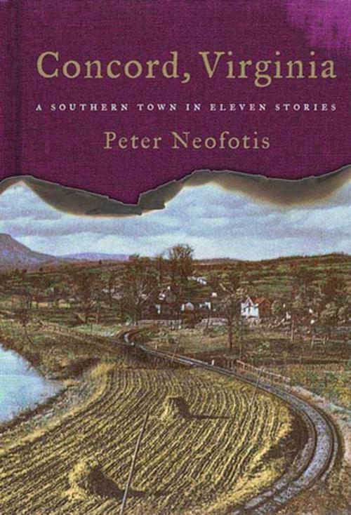 Cover of the book Concord, Virginia by Peter Neofotis, St. Martin's Press