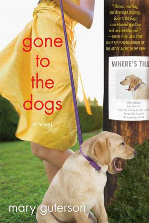 Cover of the book Gone to the Dogs by Mary Guterson, St. Martin's Press