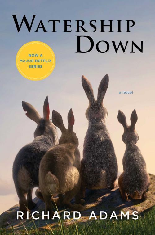 Cover of the book Watership Down by Richard Adams, Scribner