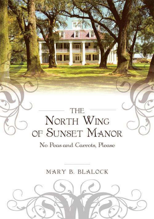 Cover of the book The North Wing of Sunset Manor by Mary B. Blalock, iUniverse