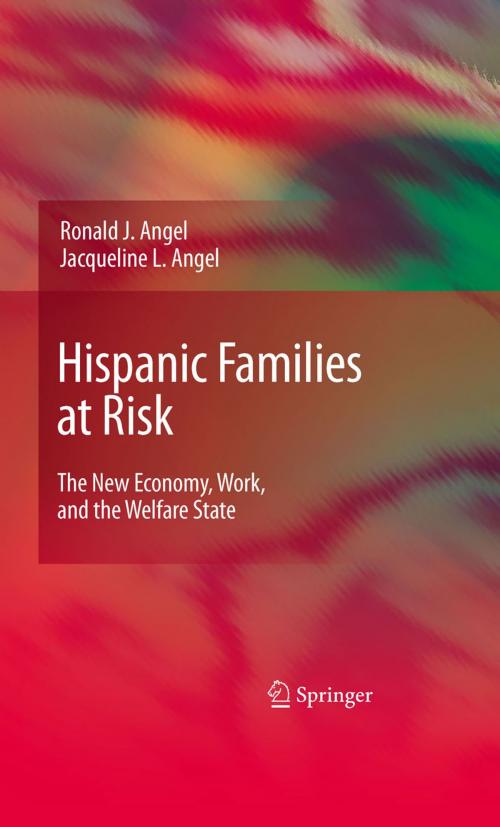 Cover of the book Hispanic Families at Risk by Ronald J. Angel, Jacqueline L. Angel, Springer New York