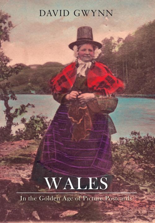 Cover of the book Wales In the Golden Age of Picture Postcards by David Gwynn, Amberley Publishing