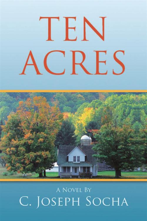 Cover of the book Ten Acres by C. Joseph Socha, Xlibris US