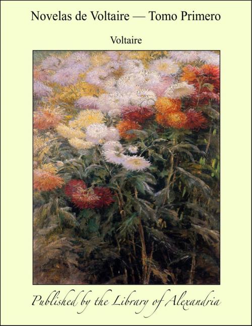 Cover of the book Novelas de Voltaire — Tomo Primero by Voltaire, Library of Alexandria