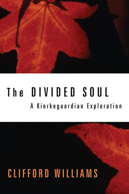 Cover of the book The Divided Soul by Clifford Williams, Wipf and Stock Publishers