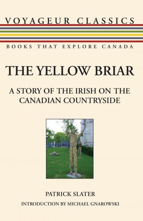 Cover of the book The Yellow Briar by Patrick Slater, Dundurn