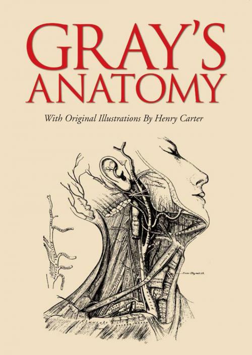 Cover of the book Gray's Anatomy by Henry Gray, Arcturus Publishing
