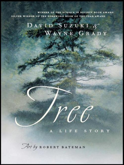 Cover of the book Tree by Wayne Grady, David Suzuki, Greystone Books Ltd.